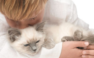 001 ANIMALES 1 300x186