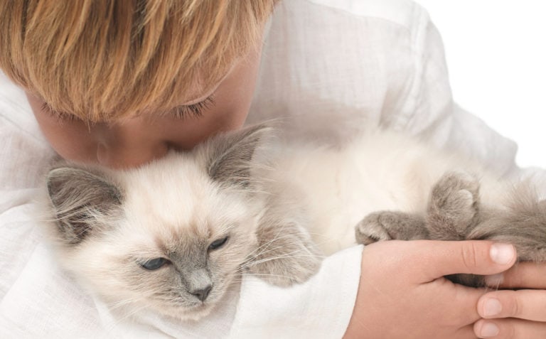 001 ANIMALES 2 768x477