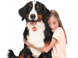 002 ANIMALES 300x224