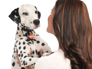 004 ANIMALES 300x224