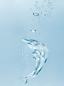 010 PUBLICIDAD 224x300