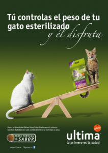 025 ANIMALES 212x300