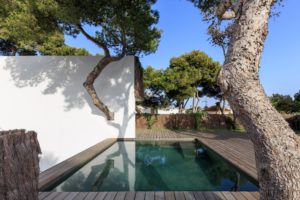 140 IMG 4125 B 300x200