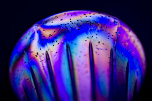 DSC418224Polarizacion 300x200