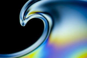 DSC44757POLA 300x200