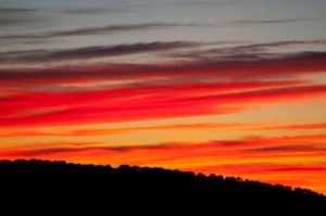 DSC7062Andujar nov2011 300x199