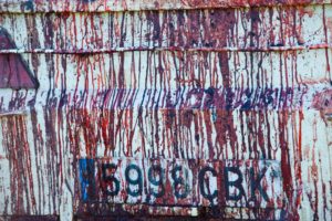 DSC7199135ENERO 2011 300x200