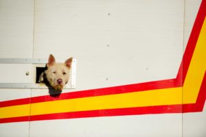 DSC7844Monteria 300x200