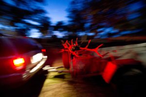 DSC8190Andujar nov2011 300x200