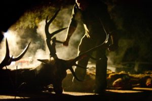 DSC8334Monteria 300x200