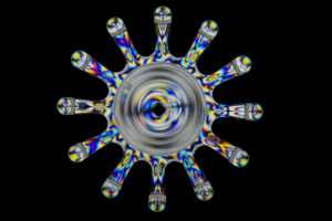 DSC8806Polaritzacion 300x200