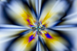 DSC8824Polaritzacion 300x199