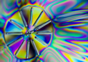 DSC8834 EXPO 50x70 1 300x214