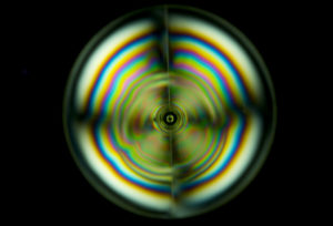 DSC8891Polaritzacion 300x204