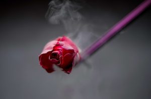 DSC 2451AC NOV 2019 300x197