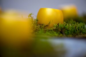 DSC 6903Alcapone CT 300x200