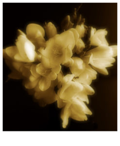 Eduardo Llasat concept10 247x300