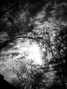 Eduardo Llasat concept11 225x300