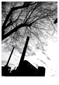 Eduardo Llasat concept8 209x300