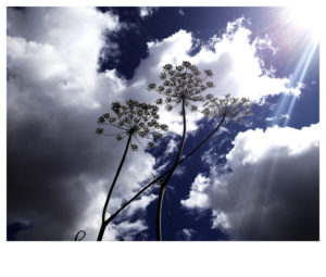 Eduardo Llasat concept9 300x255