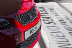 IMG 8380 1mini 300x200