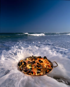 WWWCHASANCOM f1553 225 241x300