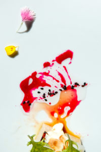 WWWCHASANCOM f1973 2413 200x300