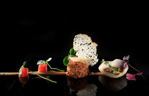 WWWCHASANCOM f1973 2600 300x193