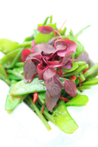 WWWCHASANCOM f2059 SG 027 200x300