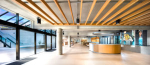 WWWCHASANCOM i2164 AOANZO D8A8757dstr 300x130