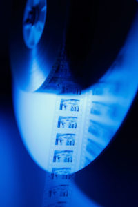 WWWCHASANCOM pi2138 MG 2459 200x300