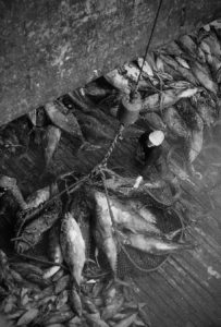 WWWCHASANCOM pp1380 W2 e16b gblrBWhcbfEncacnVgn 70 25 203x300