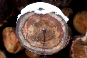 fin de cuento 300x200