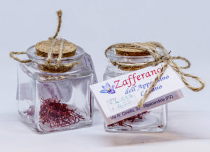 IMG 6637 copia 300x217