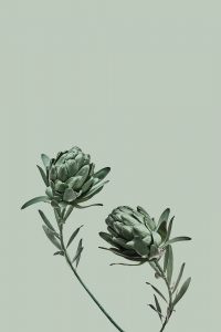 0020nando esteva  200x300