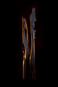 A art anuñez 200x300