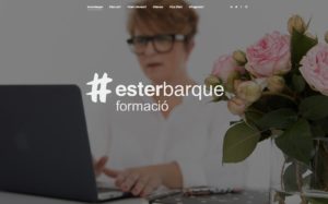 PERFIL PROF05 300x187