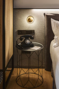 TERRADOMINACATA2 200x300