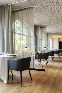 TERRADOMINACATA8 200x300