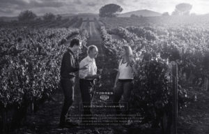 TORRES DAF PepAvila VINEDO 0410 bis 300x192