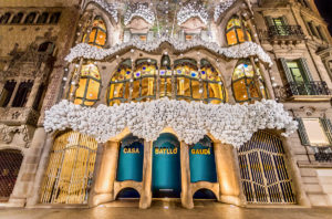 plantanoblev2 300x198