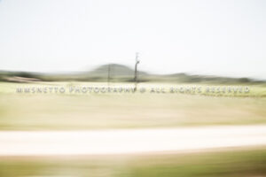 MG 0063 Editar 300x200