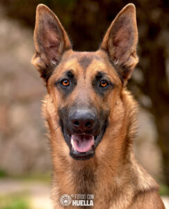 21 03 17DSC 2426 1 243x300