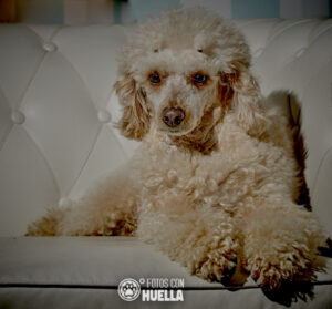 21 03 22DSC 2469 300x279