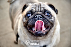 21 03 23DSC 3116 300x200