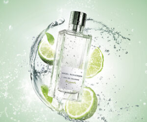 SCHOLTENSTUDIO ANGEL SCHLESSER BERGAMOTA 300x249