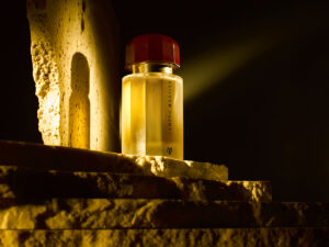 SCHOLTENSTUDIO Campus Martius 1 300x225