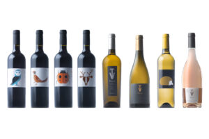 Totes format instagram reduit WEB 300x200