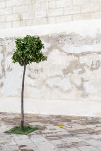 nFuco Reyes Conceptual14 200x300