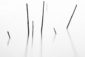 nFuco Reyes Conceptual16 300x200